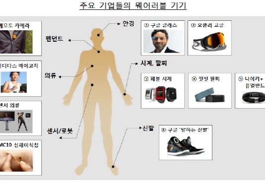 피트니스 웨어러블 기기 시장 2015년 하락 2016년 반등