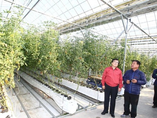 농식품부, ICT 융합 농업 확산한다