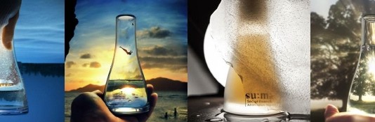 인스타그램, 광고 출시 5개월 만에 20만 광고주 돌파