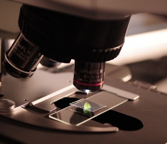 실리콘밸리에서 사라진 산업 2가지…‘바이오-화학’