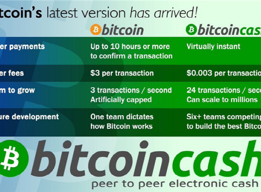 비트코인·비트코인캐시 vs 블록체인