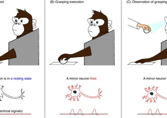 전태일로 본 기업가 정신과 비즈니스 모델 1